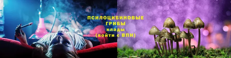 площадка формула  купить наркоту  Горно-Алтайск  Галлюциногенные грибы GOLDEN TEACHER  кракен зеркало 